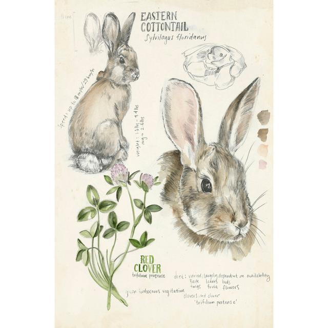 Wildlife Journals II by Jennifer Paxton Parker - Wrapped Canvas Art Prints August Grove Size: 30cm H x 20cm W x 3.8cm D on Productcaster.