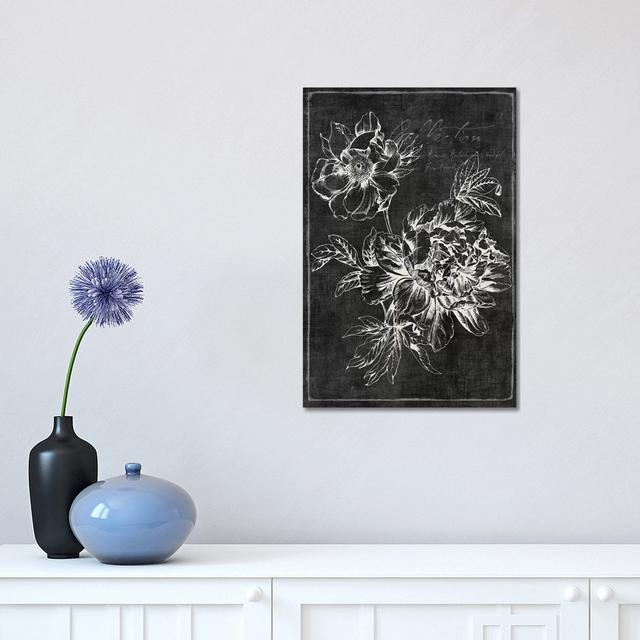 Black Botanical I by PI Galerie - Wrapped Canvas Print ClassicLiving Size: 45.72cm H x 30.48cm W x 1.905cm D on Productcaster.