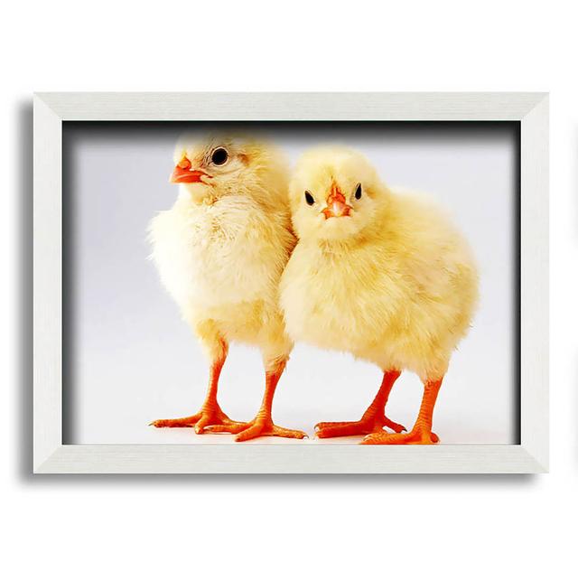 Sigel Two Little Chicks - Single Picture Frame Art Prints Latitude Run Size: 59.7cm H x 84.1cm W x 10cm D on Productcaster.