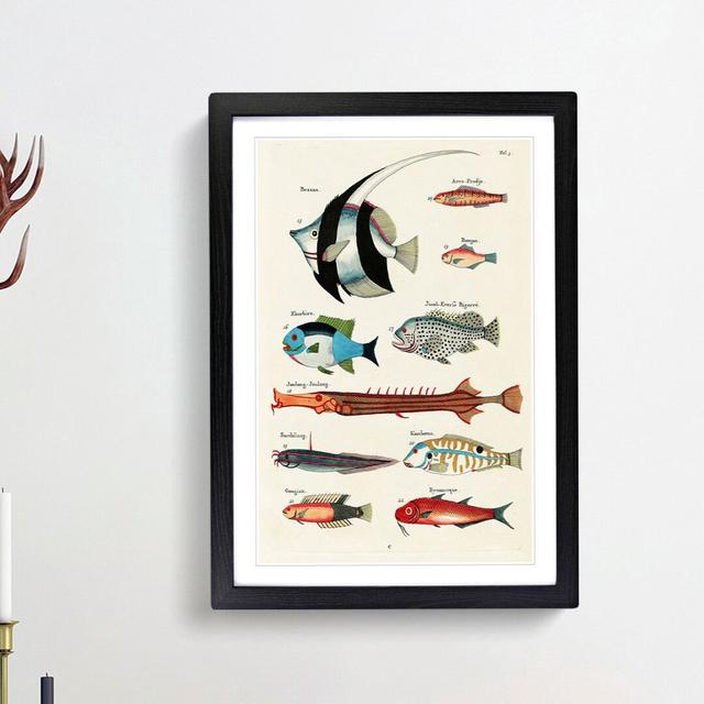 East Indies Fish Illustrations Fol. 3 by Louis Renard - Picture Frame Painting Print East Urban Home Frame Option: Black Framed, Size: 48cm H x 36cm W on Productcaster.