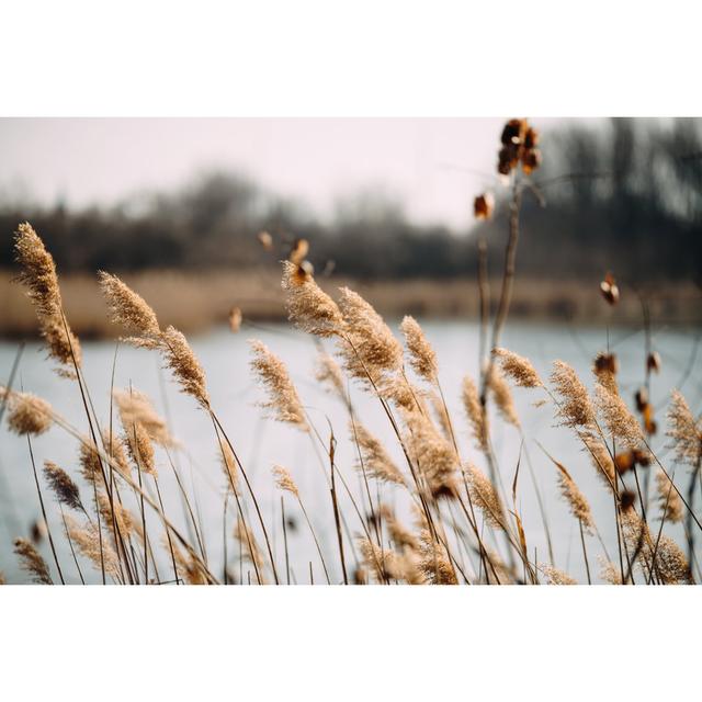 Windy Lake by Nd3000 - Wrapped Canvas Photograph 17 Stories Size: 30cm H x 46cm W on Productcaster.