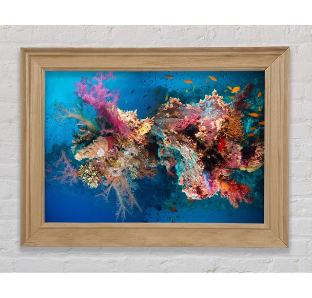 Coral Reef Habitat - Single Picture Frame Art Prints Bright Star Size: 59.7cm H x 84.1cm W x 8cm D on Productcaster.