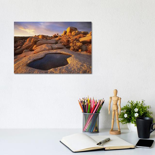 Water That Has Collected In Boulder, Joshua Tree National Park, California by Tim Fitzharris - No Frame Gallery-Wrapped Canvas Giclée on Canvas Alpen on Productcaster.