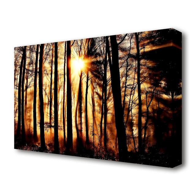 Steaming Light Rays Forest - Wrapped Canvas Photograph Print East Urban Home Size: 35.5 cm H x 50.8 cm W on Productcaster.