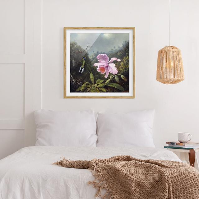 Still Life with Orchid and Two Hummingbirds by Martin Johnson Heade - Picture Frame Painting Rosalind Wheeler Frame Option: Brown, Size: 70cm H x 70cm on Productcaster.