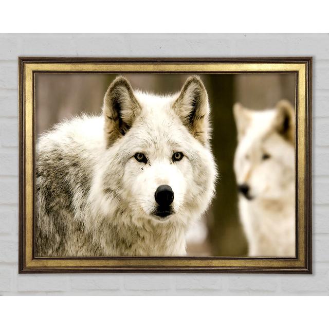 Weißer Wolf - Drucken Union Rustic Größe: 42,1 cm H x 59,7 cm B on Productcaster.