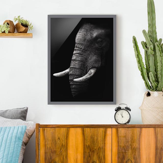 Dark Elephant Portrait - Picture Frame Photograph Latitude Vive Frame Option: Grey Framed, Size: 70cm H x 50cm W x 2cm D on Productcaster.