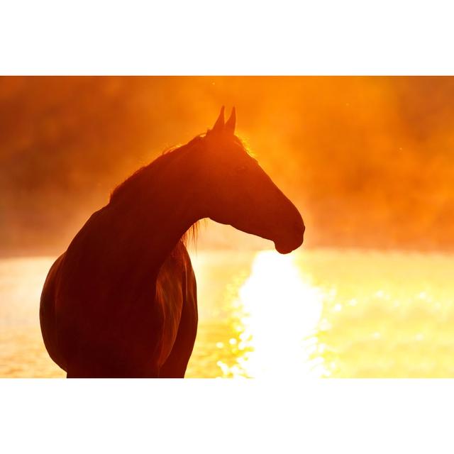 Horse Silhouette at Sunrise - Wrapped Canvas Photograph Gracie Oaks Size: 20cm H x 30cm W x 3.8cm D on Productcaster.