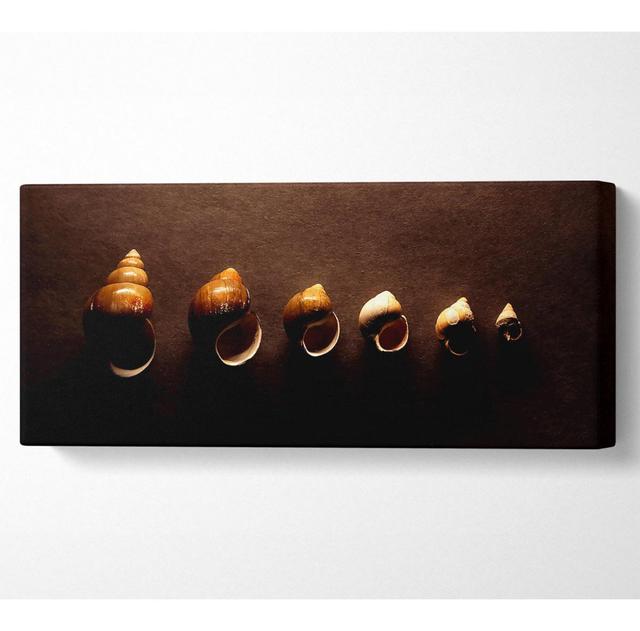 Snail Shells - Wrapped Canvas Panoramic Art Prints Highland Dunes Size: 71cm H x 162.5cm W x 10cm D on Productcaster.