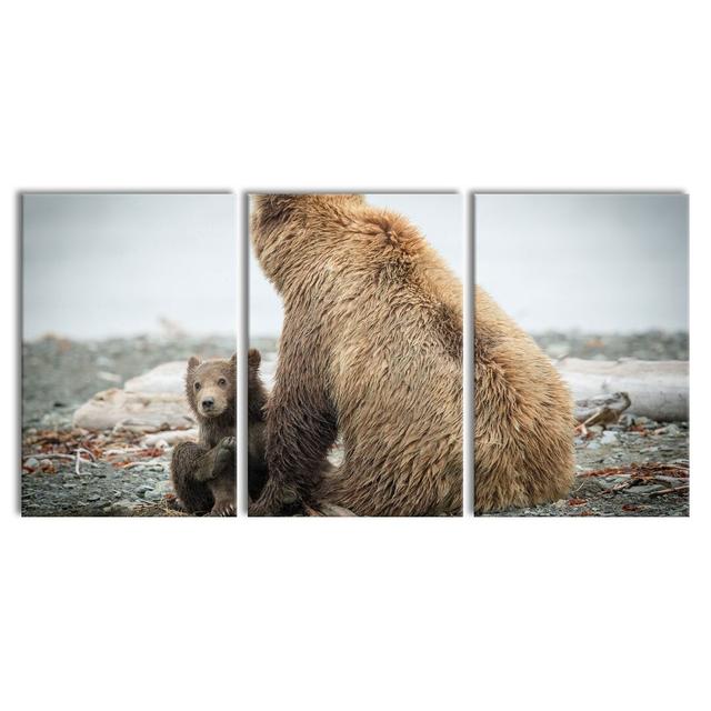 Bear With Baby After Bathing - 3 Piece Wrapped Canvas Print East Urban Home Size: 120cm H x 240cm W on Productcaster.