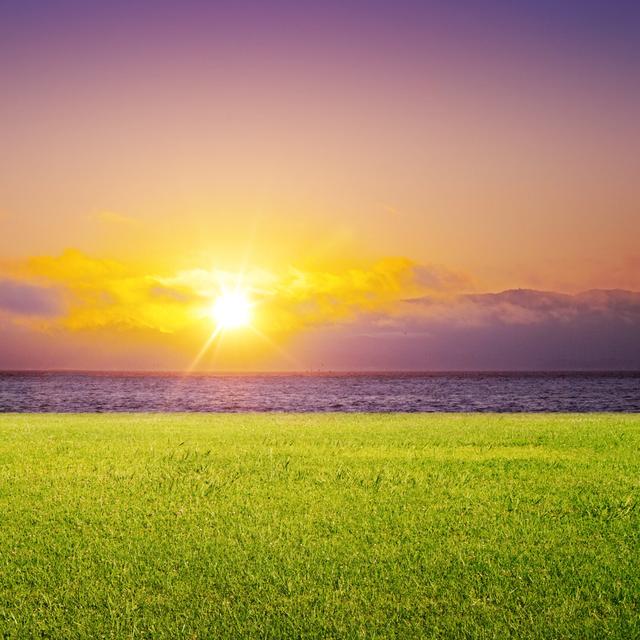 Colletti Grass and Sunrise - Wrapped Canvas Photograph House of Hampton Size: 76cm H x 76cm W x 3.8cm D on Productcaster.