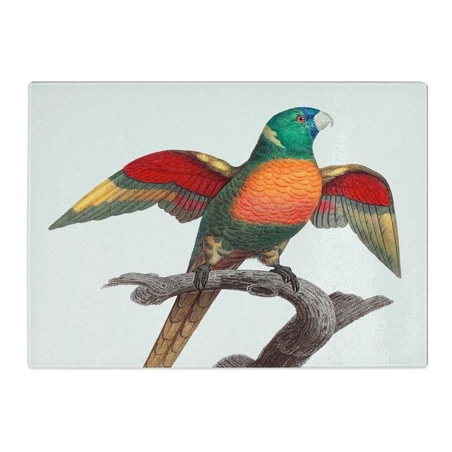 Tempered Glass a Parrot Chopping Board East Urban Home Size: 39 cm W x 28.5 cm L on Productcaster.