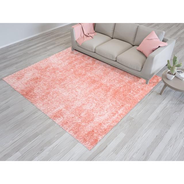 Shaggy Large Area Rug Thick Pile Living Room Bedroom Carpet Soft Floor Mats Non-Shed Kitchen Carpet Canora Grey Rug Size: Rectangle 80 x 150cm on Productcaster.