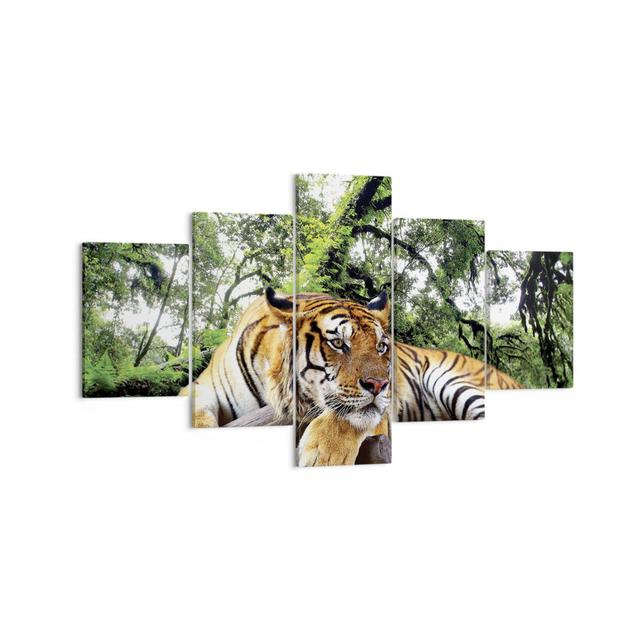 Tiger Jungle Rest - 5 Piece Unframed Photograph on Canvas Ebern Designs Size: 70cm H x 125cm W x 1.8cm D on Productcaster.