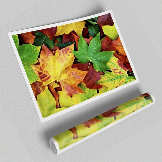 'Autumn Leaves Fallen Flowers' - Unframed Graphic Art Print on Paper East Urban Home Size: 42 cm H x 59.4 cm W on Productcaster.