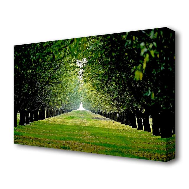 'Orchard Landscape' Photographic Print on Canvas East Urban Home Size: 101.6 cm H x 142.2 cm W on Productcaster.