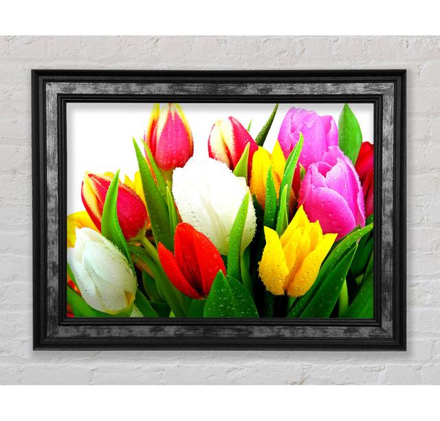 Fresh Tulips - Single Picture Frame Art Prints Bright Star Size: 59.7cm H x 84.1cm W x 8cm D on Productcaster.