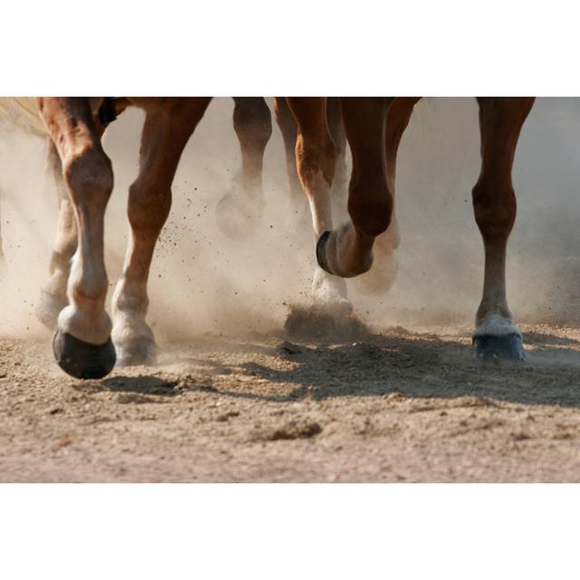 Hoof Dust - Wrapped Canvas Photograph Gracie Oaks Size: 20cm H x 30cm W x 3.8cm D on Productcaster.