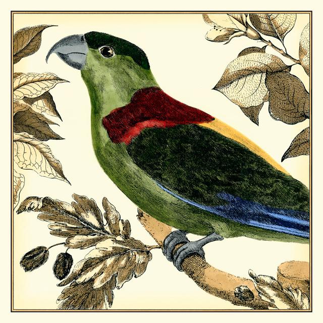 Tropical Parrot IV by Martinet - Wrapped Canvas Painting Bay Isle Home Size: 122cm H x 122cm W on Productcaster.