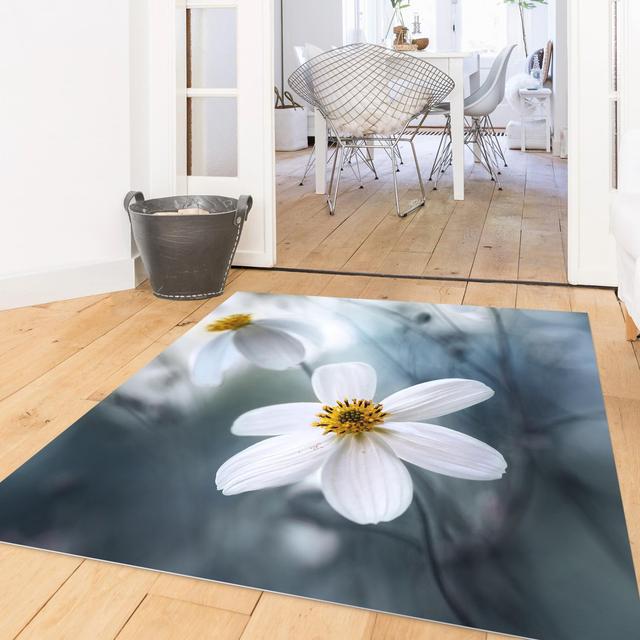 Square Gaiden Black/White Indoor / Outdoor Area Rug East Urban Home Rug Size: Square 100cm on Productcaster.