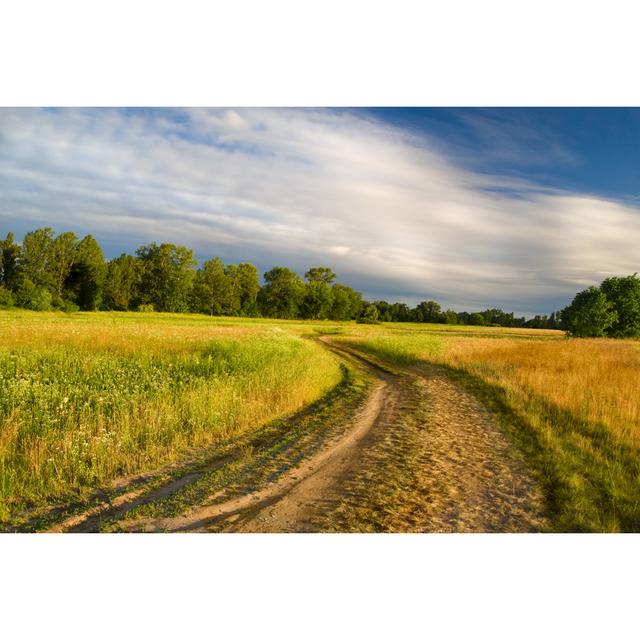 Beautiful Summer Meadow by Keetten_Predators - No Frame Photograph on Canvas Brambly Cottage Size: 40cm H x 60cm W x 1.8cm D on Productcaster.