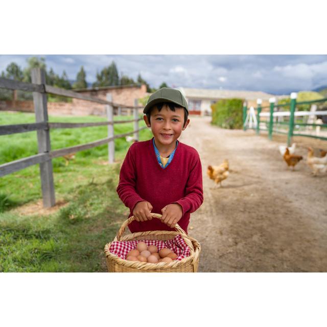 Happy Boy Collecting Eggs At Farm by Andresr - No Frame Art Prints on Canvas 17 Stories Size: 61cm H x 91cm W on Productcaster.