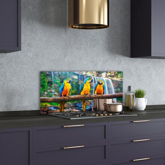 Parrots on the Branch 50cm x 100cm Glass Panel Bay Isle Home on Productcaster.