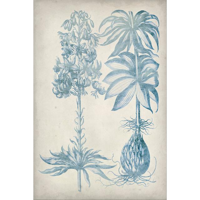 Blue Fresco Floral I by Vision Studio - Wrapped Canvas Art Prints Pergo Classics Size: 30cm H x 20cm W on Productcaster.