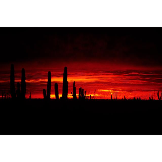 Red Desert by Tammy616 - No Frame Print on Canvas Natur Pur Size: 61cm H x 91cm W on Productcaster.