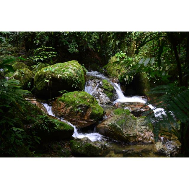 Clean Water Waterfall by Unknown - Wrapped Canvas Photograph Alpen Home Size: 30cm H x 46cm W on Productcaster.