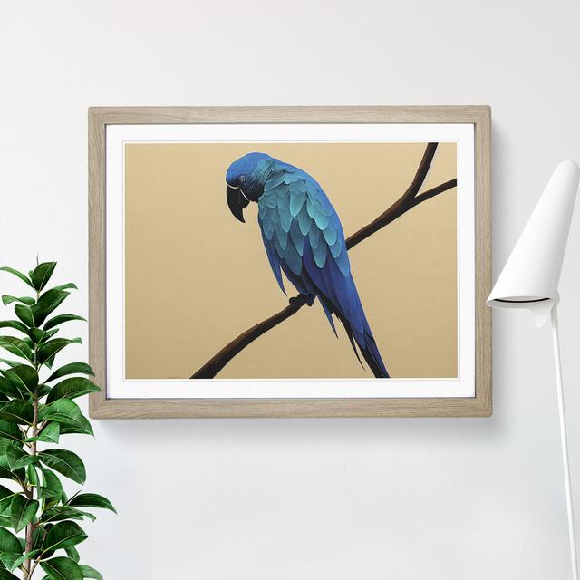 XH1022-6883X Perched Parrot - Single Picture Frame Print 17 Stories Size: 25cm H x 34cm W x 2cm D, Format: Oak Framed on Productcaster.