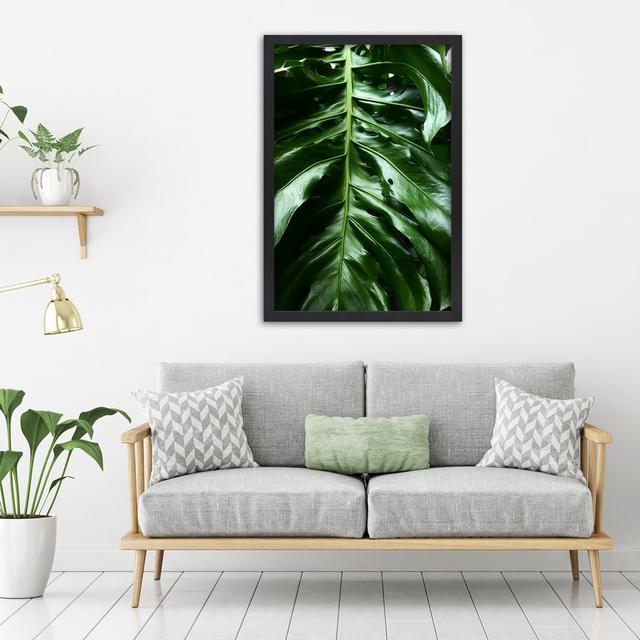 Gerahmtes Poster Leaf From The Tropics Sansibar Home Größe: 30 cm H x 20 cm B x 2 cm T on Productcaster.