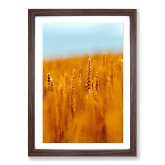 Wheatfield in Germany - Picture Frame Painting Print East Urban Home Size: 33cm H x 24cm W x 2cm D, Frame Option: Walnut Framed on Productcaster.