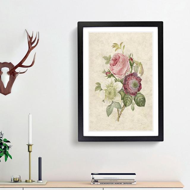 Pink Anemone Rose by Pierre-Joseph Redoute - Picture Frame Painting Print East Urban Home Size: 36cm H x 27cm W x 2cm D, Frame Option: Black Framed on Productcaster.