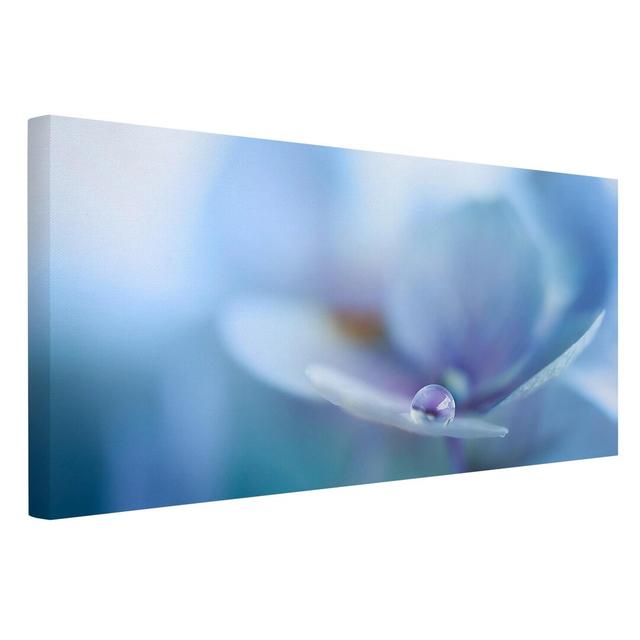 Hydrangea Flower Droplets - Wrapped Canvas Photograph Ebern Designs on Productcaster.