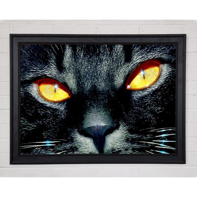 Cats Eyes - Single Picture Frame Art Prints 17 Stories Size: 84.1" H x 118.9" W x 1.5" D on Productcaster.