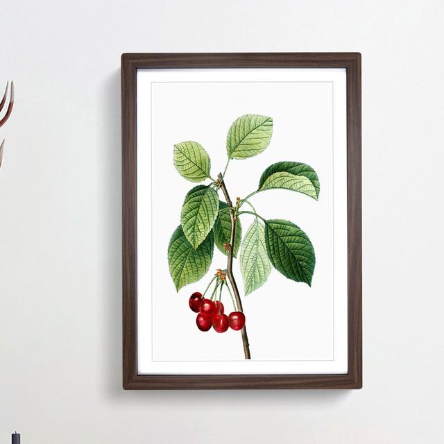 Ripe Cherries by Pierre-Joseph Redoute - Picture Frame Painting Print East Urban Home Frame Option: Walnut Framed, Size: 48cm H x 36cm W x 2cm D on Productcaster.