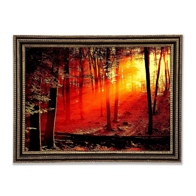 Red Woodland Beam Framed Print Rosalind Wheeler Size: 29.7cm H x 42cm W x 3cm D on Productcaster.