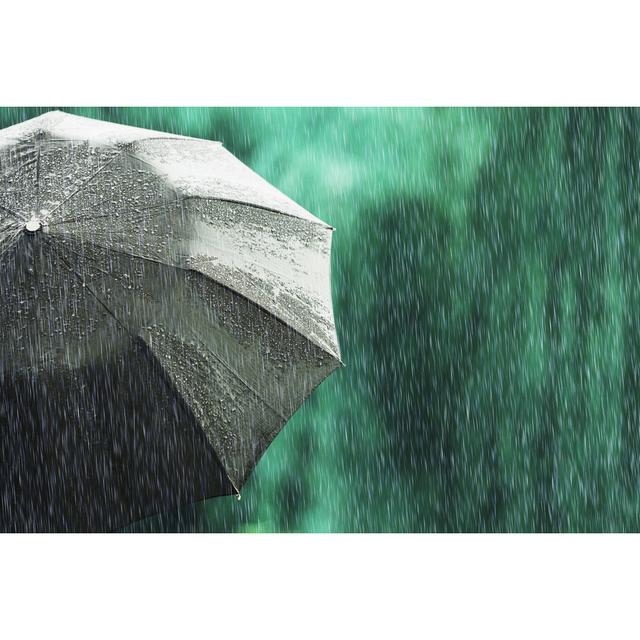 Black Umbrella by Iiievgeniy - Wrapped Canvas Print Rosalind Wheeler Size: 81cm H x 122cm W x 3.8cm D on Productcaster.