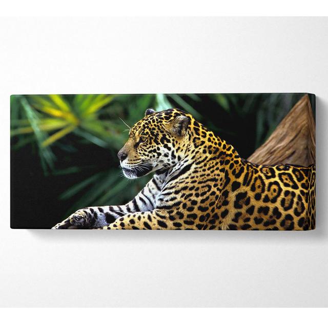 Jaguar In The Amazon Rainforest - Print Ebern Designs Size: 40.6cm H x 101.6cm W x 10cm D on Productcaster.