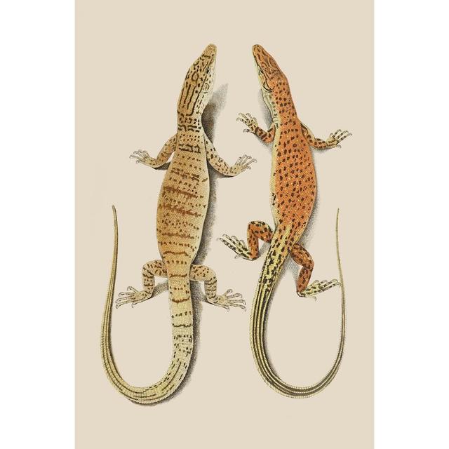 Antique Lizards I - Print Rosalind Wheeler Size: 91cm H x 61cm W on Productcaster.