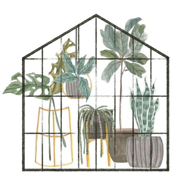 My Greenhouse II by Melissa Wang - Wrapped Canvas Art Prints Bay Isle Home Size: 76cm H x 76cm W on Productcaster.