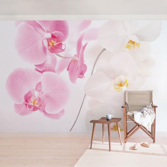 Halbglänzende Tapete Top Orchideen East Urban Home Größe: 2,88 m x 190 cm on Productcaster.