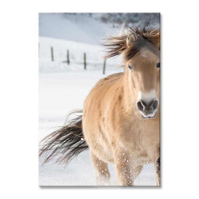 Horses In The Snow - No Frame Print on Glass August Grove Size: 100cm H x 70cm W x 0.4cm D on Productcaster.