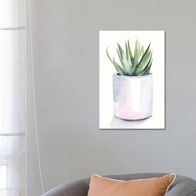 Potted Succulent III by Jennifer Paxton Parker - Wrapped Canvas Painting Latitude Vive Size: 66.04cm H x 45.72cm W x 1.9cm D on Productcaster.