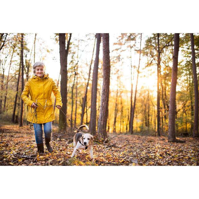 Senior Woman With Dog by Halfpoint - Wrapped Canvas Print Alpen Home Size: 81cm H x 122cm W on Productcaster.