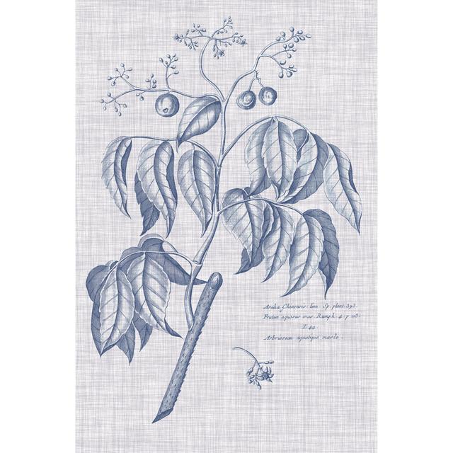 Navy & Linen Botanical IX - Unframed Graphic Art on Canvas August Grove Size: 46cm H x 30cm W x 3.8cm D on Productcaster.