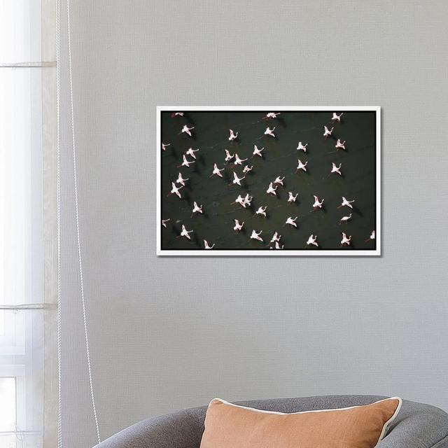 Lesser Flamingo Flock Taking Flight From The Surface Of A Lake, Kenya II by Tim Fitzharris - Gallery-Wrapped Canvas Giclée on Canvas 17 Stories Format on Productcaster.