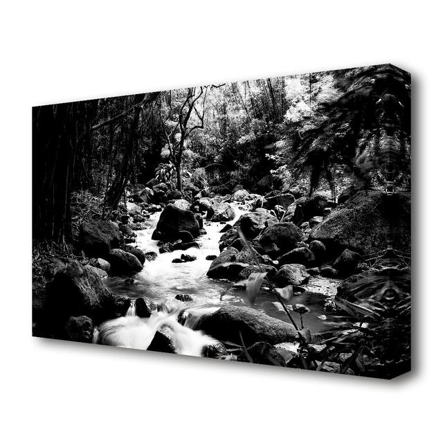 The Stream In The Woodland B n W Lake - Wrapped Canvas Photograph Print East Urban Home Size: 101.6 cm H x 142.2 cm W on Productcaster.