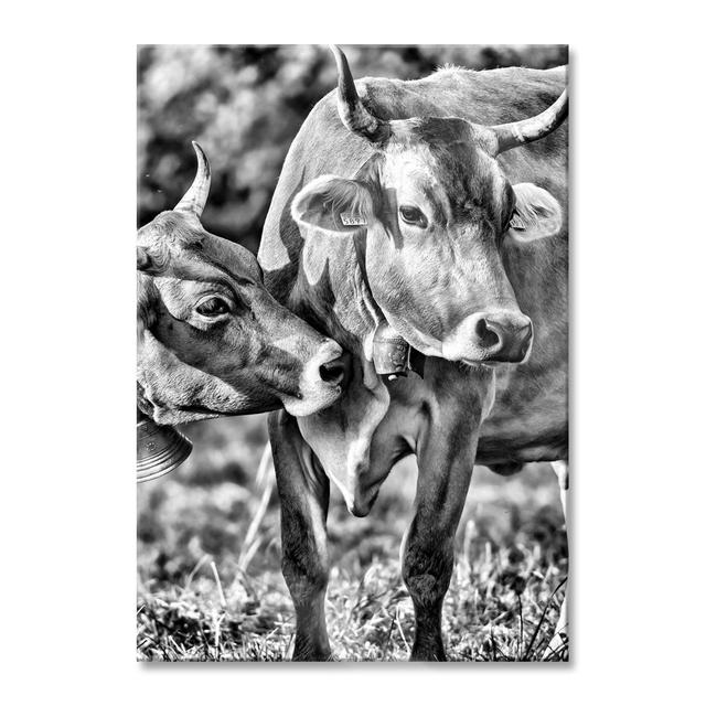 Cows On The Meadow - No Frame Print on Glass Brambly Cottage Size: 80cm H x 60cm W x 0.4cm D on Productcaster.